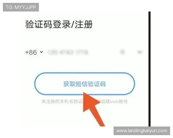 开云官方网官网登录常见问题及解决方案全攻略