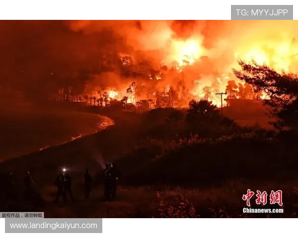开云体育手机版登录流程详解让新手玩家轻松掌握登录步骤快速开启精彩体育娱乐