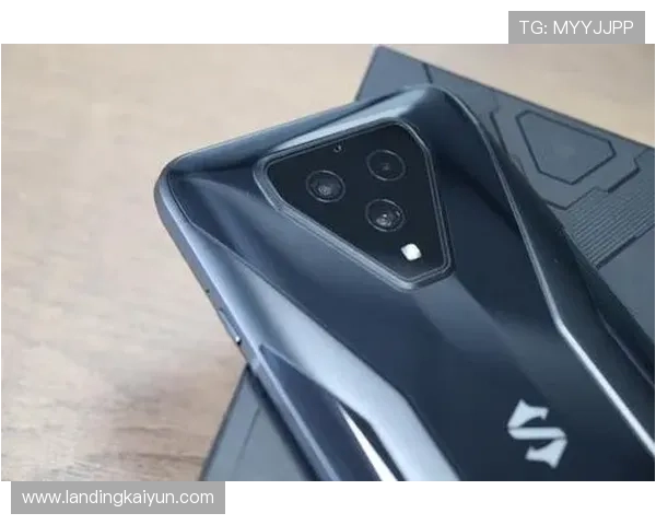 开云手机版会员登录流程详解帮助玩家快速顺利进入游戏体验最佳状态 开云手机版会员登录流程详解帮助玩家快速顺利进入游戏体验最佳状态